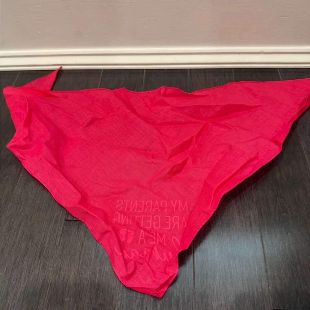 Pink 🎊HP🎉My Parents are Getting me a Human Baby Announcement Bandana Dog Pet